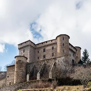  Vakantiehuis Chateau Des Marcilly Talaru Frankrijk